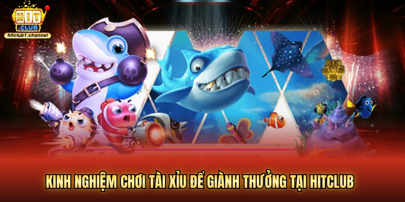 kinh nghiệm chơi tài xỉu